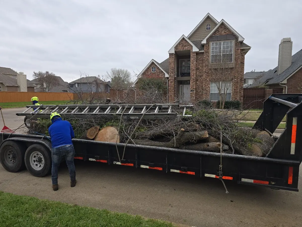 Expert Crown Reduction with proper safety equipment in Balsam Grove